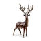 Đúc kim loại kích thước cuộc sống Deer Lawn Ornaments / Bronze Deer điêu khắc