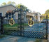 Đen Mat trang trí hàng rào và Gates / trang trí kim loại Garden Gates